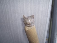 P4100006.JPG
