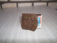 P4100009.JPG