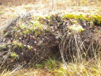 DSCN0676.JPG