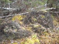DSCN0674.JPG