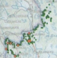 Майнила.jpg