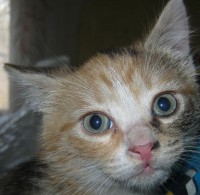 IMG_0886_1.jpg