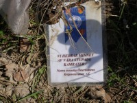 P5070115.JPG (180.45 КБ) 11879 просмотров P5070115.JPG