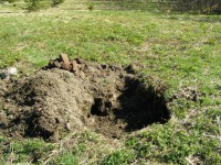 P5150163.JPG (383.3 КБ) 10057 просмотров P5150163.JPG