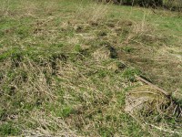 P5150168.JPG (384.91 КБ) 10373 просмотра P5150168.JPG