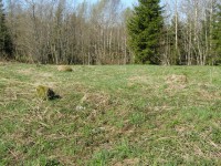 P5150167.JPG (346.01 КБ) 10380 просмотров P5150167.JPG