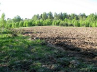 240511 057.jpg