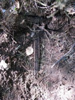 240511 029.jpg (346.36 КБ) 9426 просмотров 240511 029.jpg