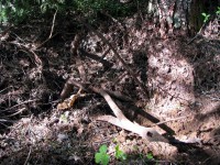 240511 028.jpg (347.98 КБ) 9446 просмотров 240511 028.jpg