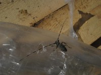 IMG_0940.jpg (56.17 КБ) 11684 просмотра IMG_0940.jpg