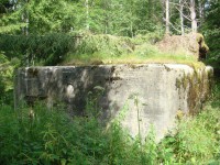 DSC08882.jpg