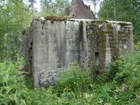 DSC08773.jpg