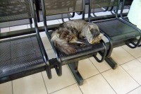 080.JPG (166.16 КБ) 24016 просмотров 080.JPG