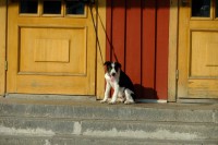 082.JPG (203.71 КБ) 23996 просмотров 082.JPG