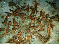 SNC00198.jpg (137.5 КБ) 11438 просмотров SNC00198.jpg