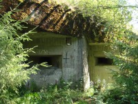 DSC09385.jpg