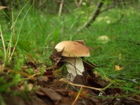 DSCF2325.JPG