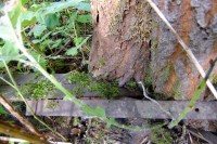 013.JPG (200.4 КБ) 18969 просмотров 013.JPG