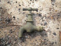 DSCN1289.JPG