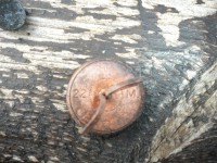 DSCN1299.JPG