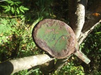 Армия 530.jpg (171.28 КБ) 9699 просмотров Армия 530.jpg