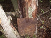 Армия 529.jpg (195.53 КБ) 9118 просмотров Армия 529.jpg