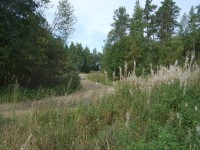 DSCF2588.jpg