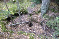 003.JPG (188.79 КБ) 9592 просмотра 003.JPG