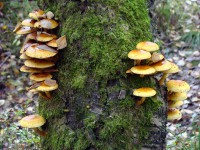 DSC01614.JPG