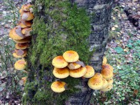 DSC01607.JPG