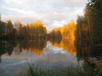 oz2.jpg (57.81 КБ) 13944 просмотра oz2.jpg