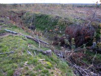 051011 005.jpg (319.15 КБ) 9102 просмотра 051011 005.jpg