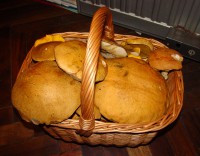 DSC01620.JPG