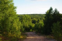 IMGP0947.jpg
