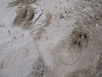 Армия 674.jpg (190.95 КБ) 12355 просмотров Армия 674.jpg