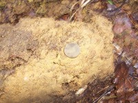 Армия 750.jpg (202.43 КБ) 11323 просмотра Армия 750.jpg