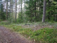 IMG_1104.jpg (274.99 КБ) 25475 просмотров IMG_1104.jpg