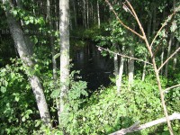 IMG_1091.jpg (250.89 КБ) 25516 просмотров IMG_1091.jpg