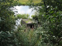 IMG_1090.jpg (252.55 КБ) 25587 просмотров IMG_1090.jpg