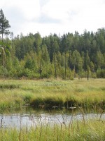 IMG_1088.jpg (333.86 КБ) 25489 просмотров IMG_1088.jpg