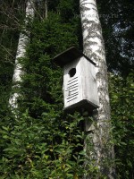 IMG_1086.jpg (173.33 КБ) 25448 просмотров IMG_1086.jpg