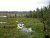 IMG_1081.jpg (148.56 КБ) 25479 просмотров IMG_1081.jpg