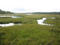 IMG_1080.jpg (134.88 КБ) 25506 просмотров IMG_1080.jpg