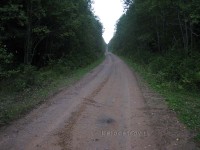 IMG_1077.jpg (97.28 КБ) 25514 просмотров IMG_1077.jpg