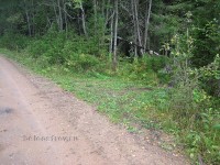 IMG_1075.jpg (211.46 КБ) 25514 просмотров IMG_1075.jpg