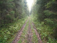 IMG_1073.jpg (227.83 КБ) 25536 просмотров IMG_1073.jpg