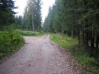 IMG_1071.jpg (199.99 КБ) 25522 просмотра IMG_1071.jpg