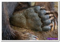 Foto_obrabotka_105.jpg (124.23 КБ) 16007 просмотров Foto_obrabotka_105.jpg