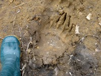 498010831.jpg (171.72 КБ) 15326 просмотров 498010831.jpg