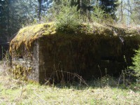 DSC06547.JPG